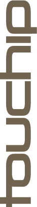 Touchip